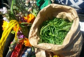 wild geplukt: rucola en eetbare bloemen
